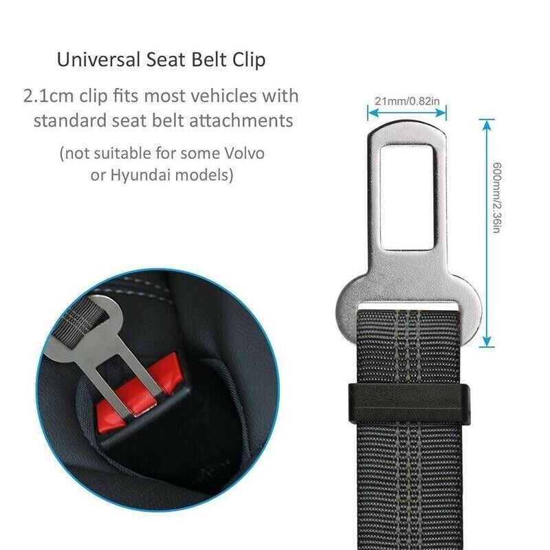Pawlure™ 2-Pack Pet Travel Seatbelt