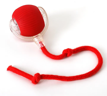 Pawlure™ Self-Rolling Cat Toy Ball