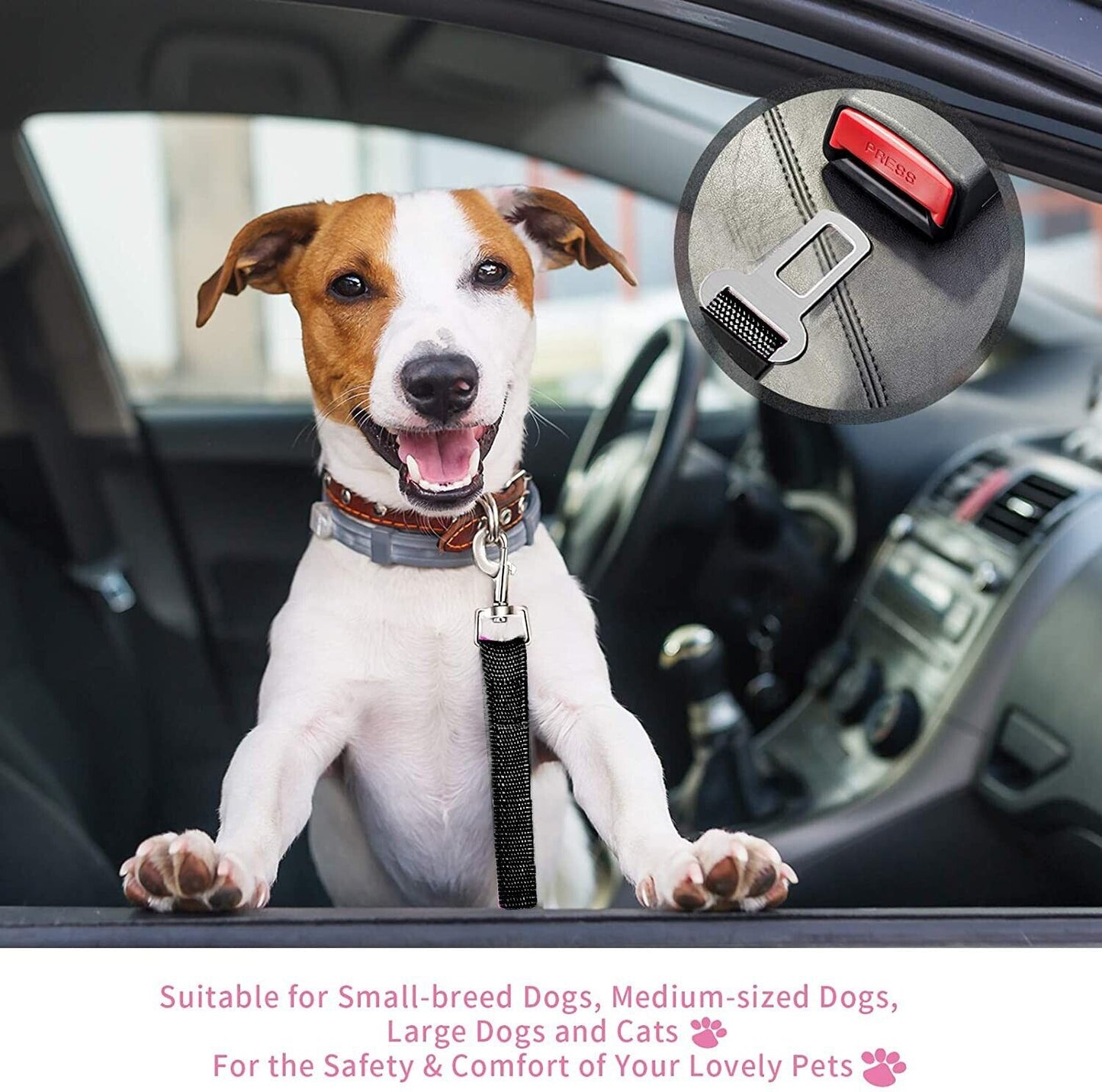 Pawlure™ 2-Pack Pet Travel Seatbelt