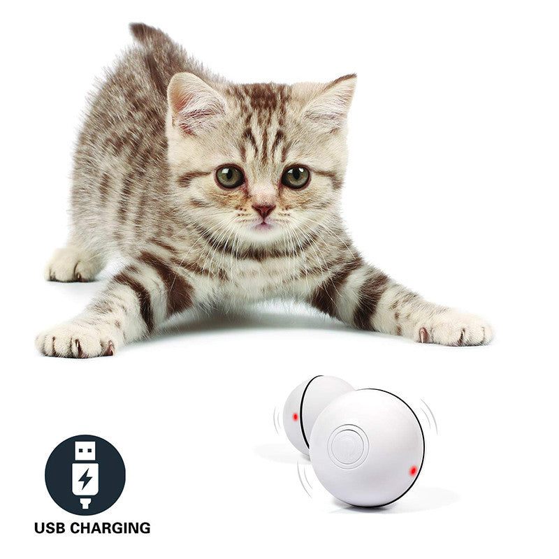 Pawlure™ Smart Rolling Laser Cat Ball